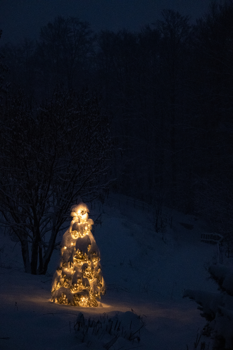 Neve e luci