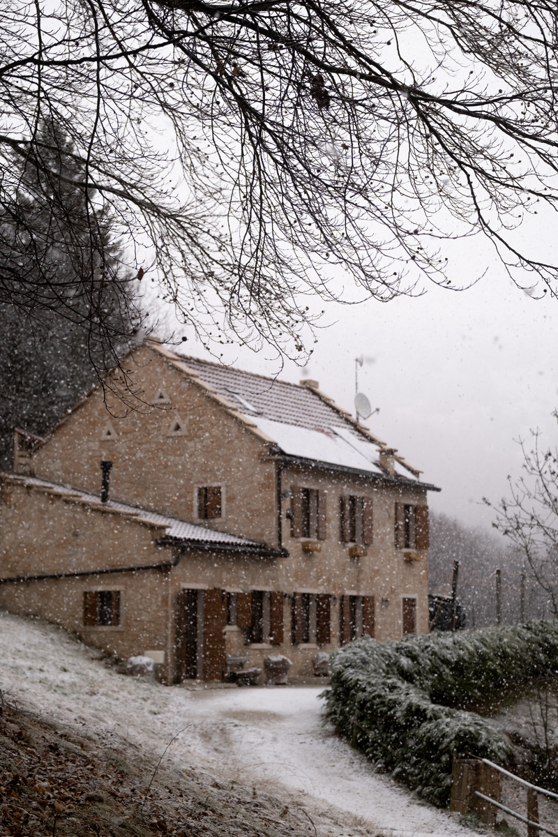 Il Cuco con neve